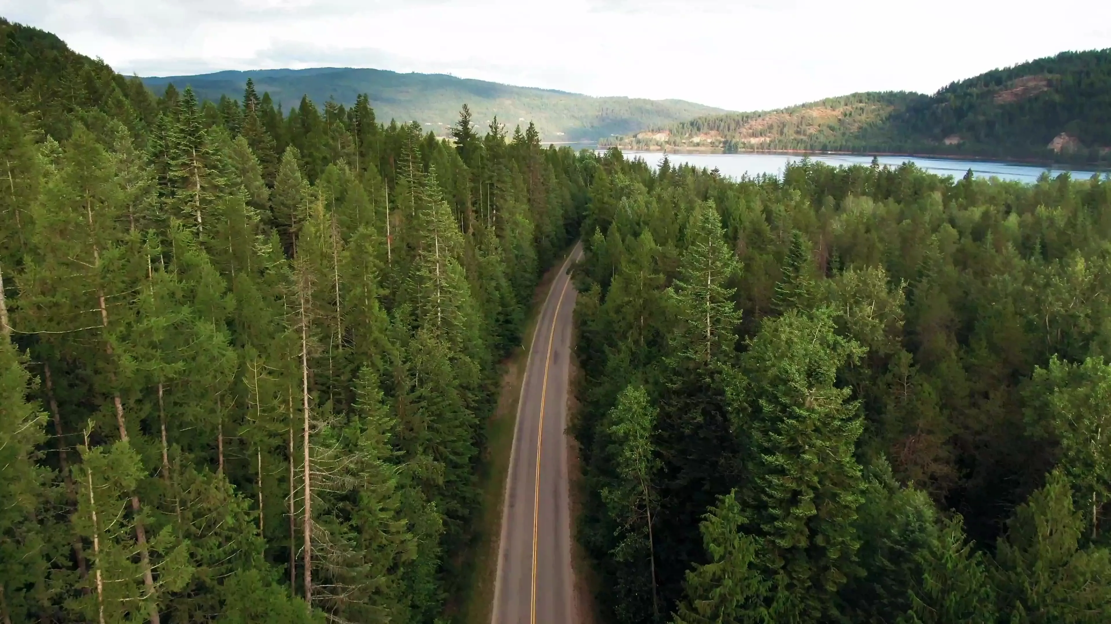 Väg genom skogen på väg mot ett uppdrag i Norrbotten